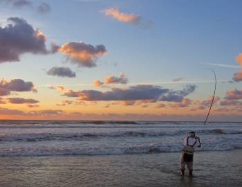 Man fishing on the shoreline
