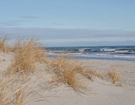 Sand dunes in Avalon New Jersey